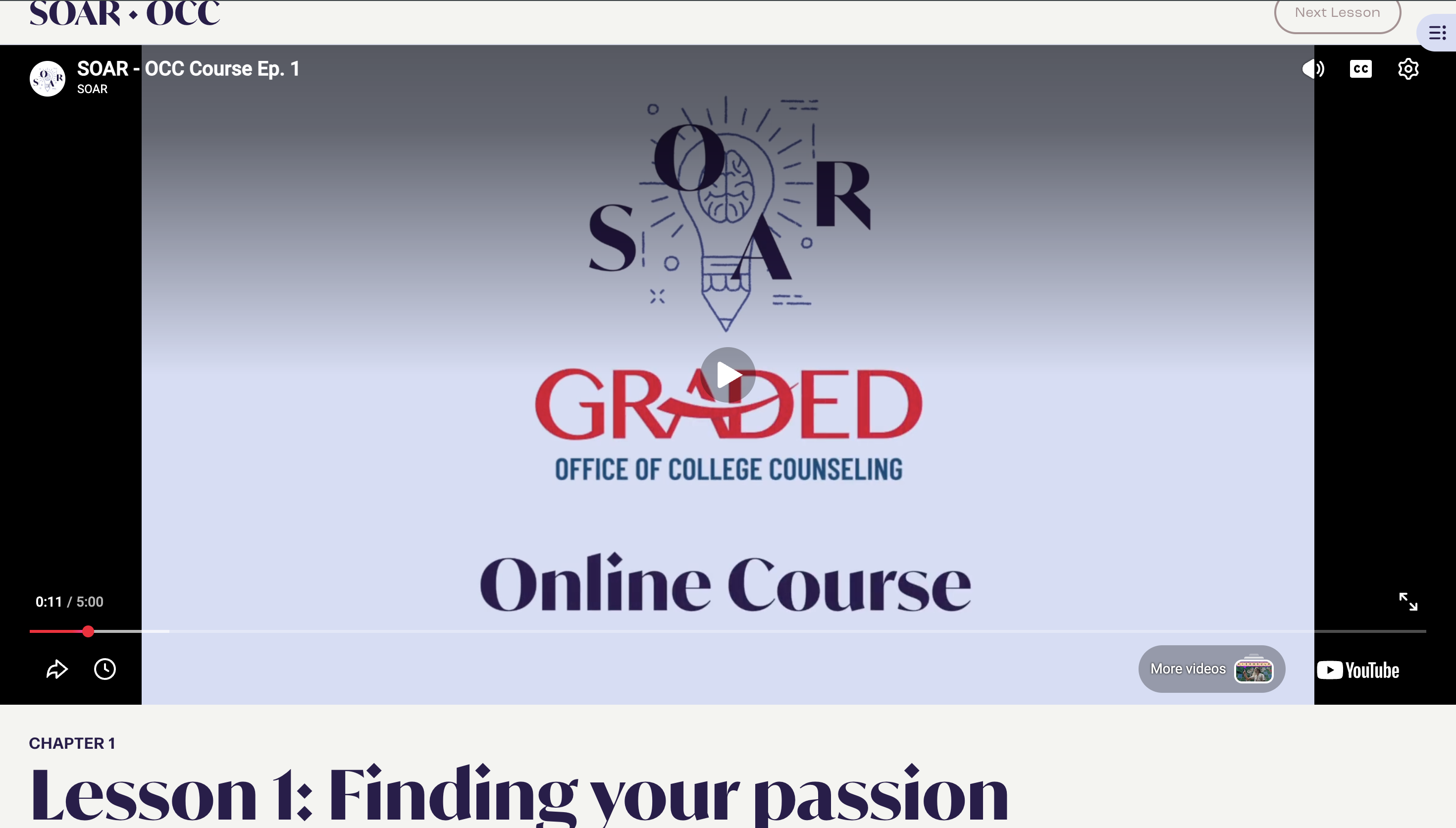 Video-based insights from professionals